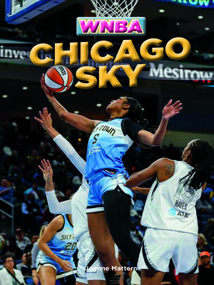 cover image of Chicago Sky